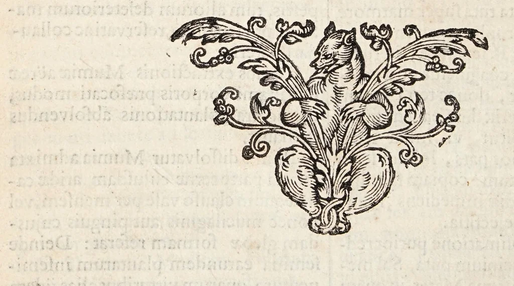 An illustration from Medicus microcosmus seu spagyria microcosmi triplo auctior et correctior. Exhibens medicinam corpore hominis tùm vivo, tum extincto doctè eruendam, scitè praeparandam & dextre propinandam ..., 1633, leaf 186