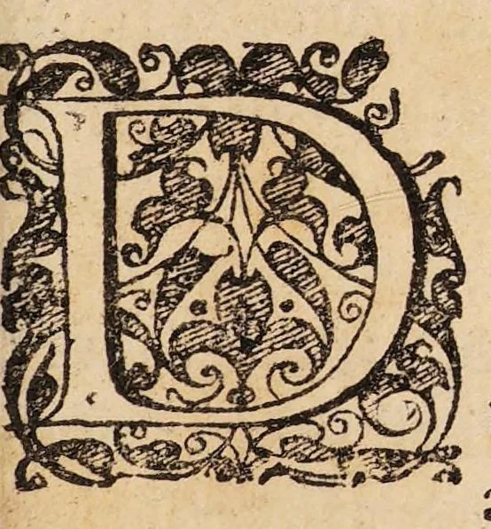 An illustration from Theses medicae de mensium suppressione,, 1633, leaf 3