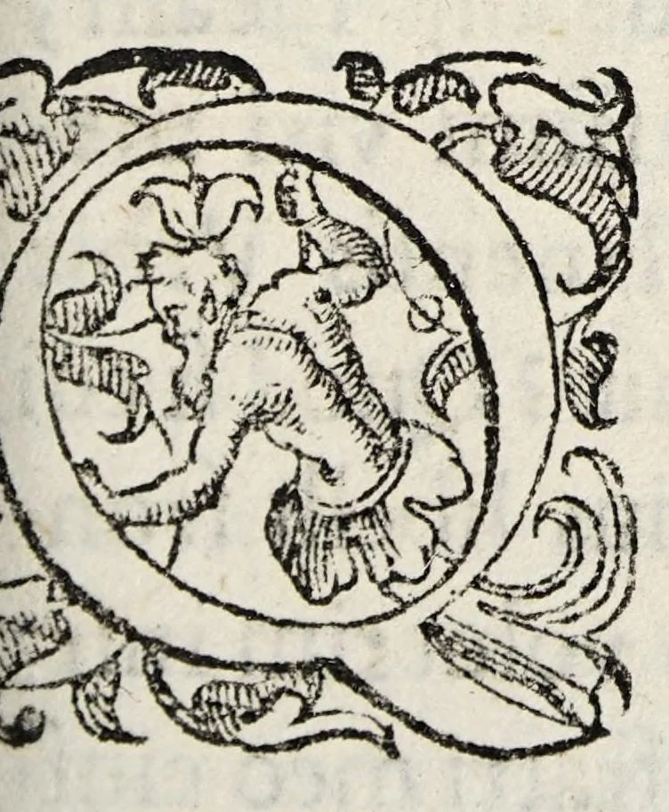 An illustration from De medicamento purgante quarta die dissertatio. In qua cum Hippocratis, tum Galeni auctoritatibus tumuè validissimis rationibus quarto die non esse purgandum statuitur., 1636, leaf 3