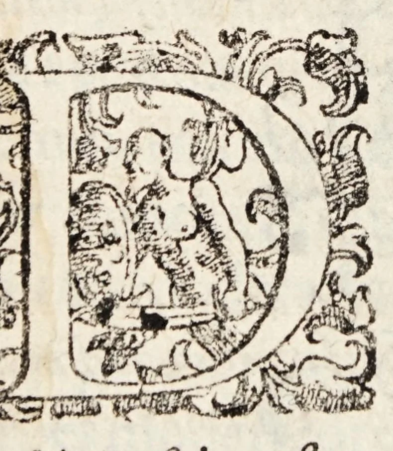 An illustration from De medicamento purgante quarta die dissertatio. In qua cum Hippocratis, tum Galeni auctoritatibus tumuè validissimis rationibus quarto die non esse purgandum statuitur., 1636, leaf 6