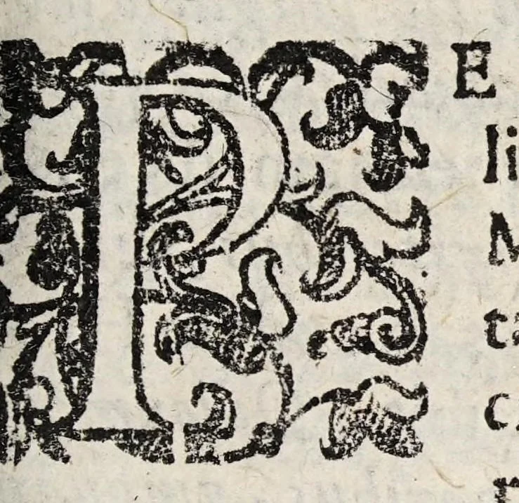 An illustration from De medicamento purgante quarta die dissertatio. In qua cum Hippocratis, tum Galeni auctoritatibus tumuè validissimis rationibus quarto die non esse purgandum statuitur., 1636, leaf 9
