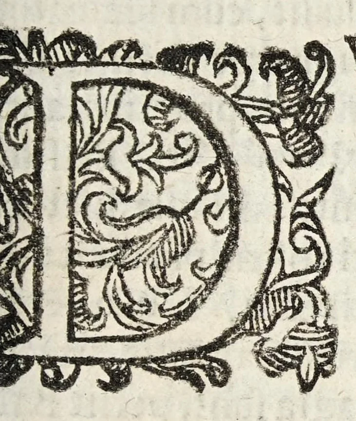 An illustration from Opobalsami veteribus cogniti vindiciae, 1644, leaf 27