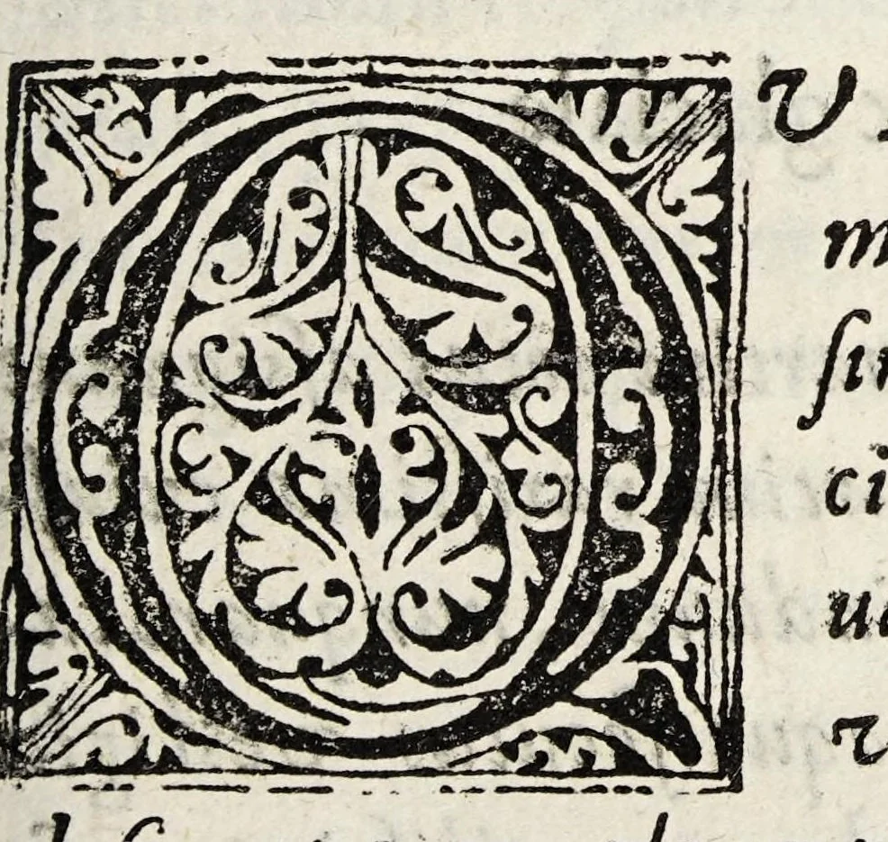 An illustration from Opobalsami veteribus cogniti vindiciae, 1644, leaf 5