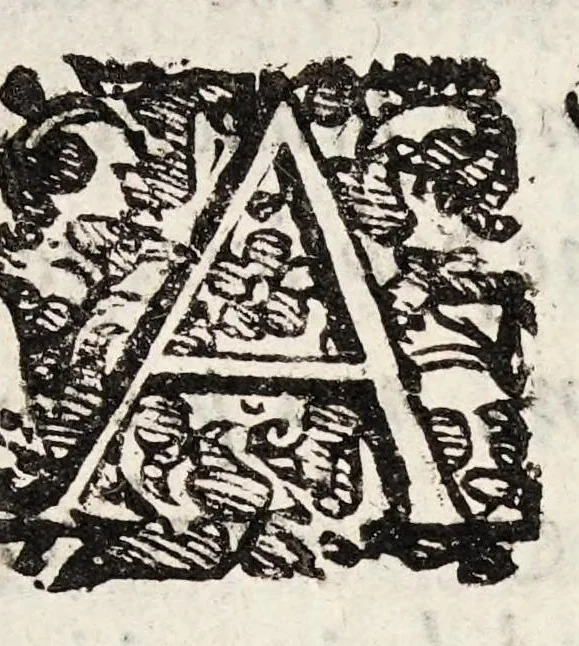 An illustration from Opobalsami veteribus cogniti vindiciae, 1644, leaf 8