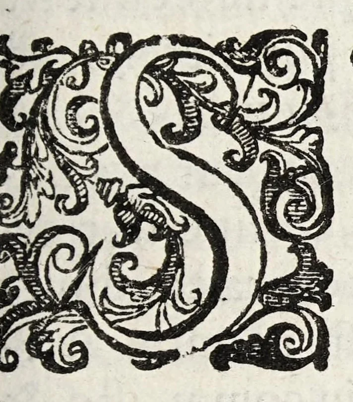An illustration from Opobalsami veteribus cogniti vindiciae, 1644, leaf 99
