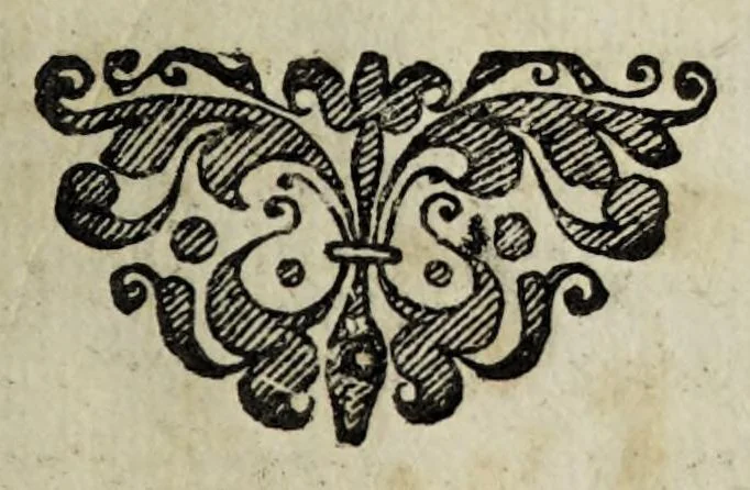An illustration from Oratio de thermarum potu. In ... inclytae academiae Basiliensis cum solemnitates doctorales subierit publice dicta ..., 1647, leaf 23