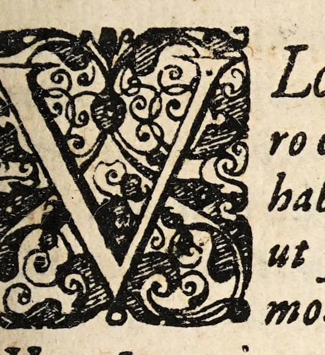 An illustration from Disputatio cheirurgica [sic] de ulceribus ..., 1647, leaf 3