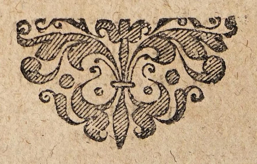 An illustration from Disputatio inauguralis de febri tertiana ..., 1648, leaf 28
