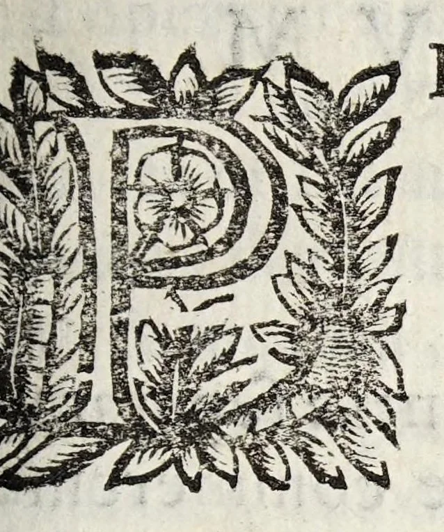 An illustration from Guidi Antonii Albanesii Aphorismorum Hippocratis expositio peripatetica, 1649, leaf 167