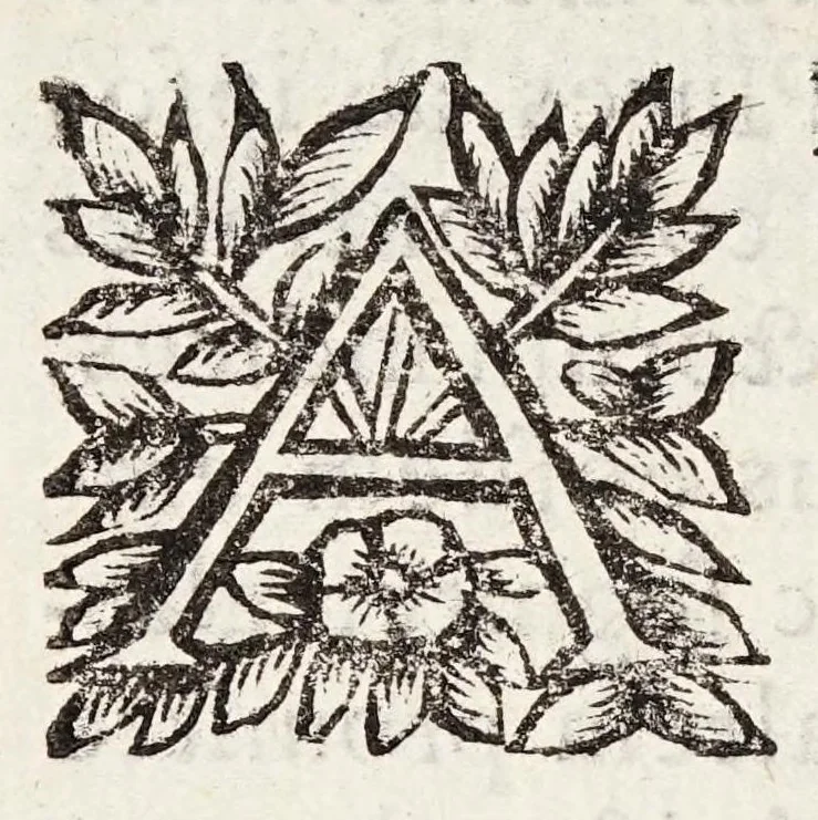An illustration from Guidi Antonii Albanesii Aphorismorum Hippocratis expositio peripatetica, 1649, leaf 168