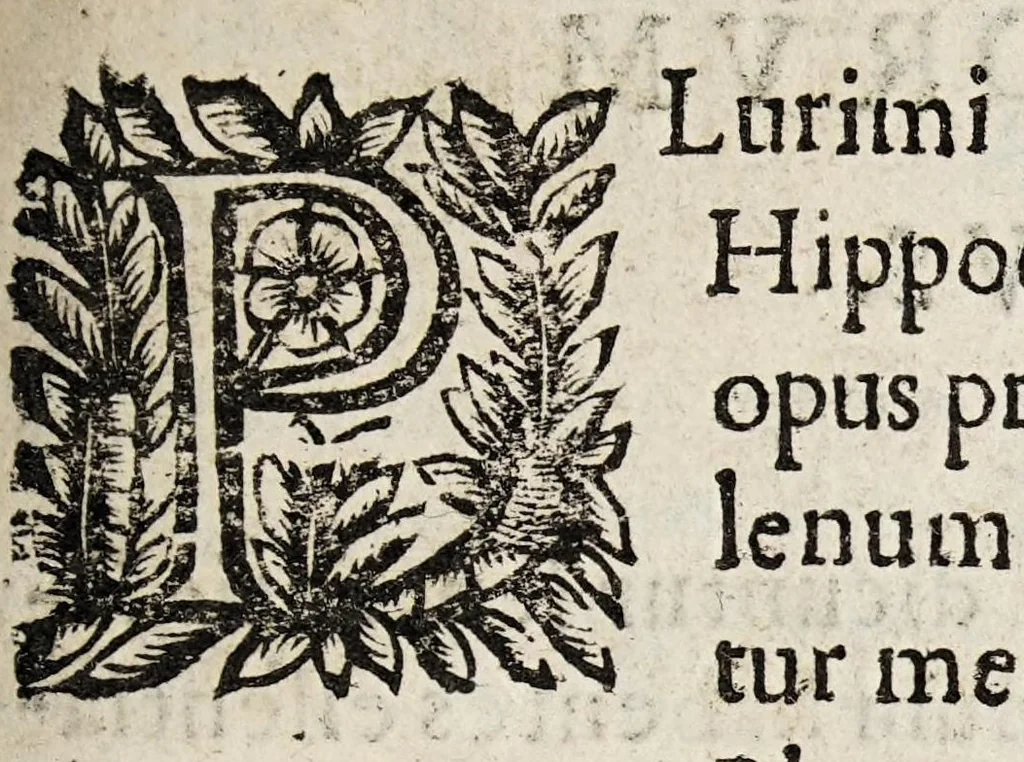 An illustration from Guidi Antonii Albanesii Aphorismorum Hippocratis expositio peripatetica, 1649, leaf 7