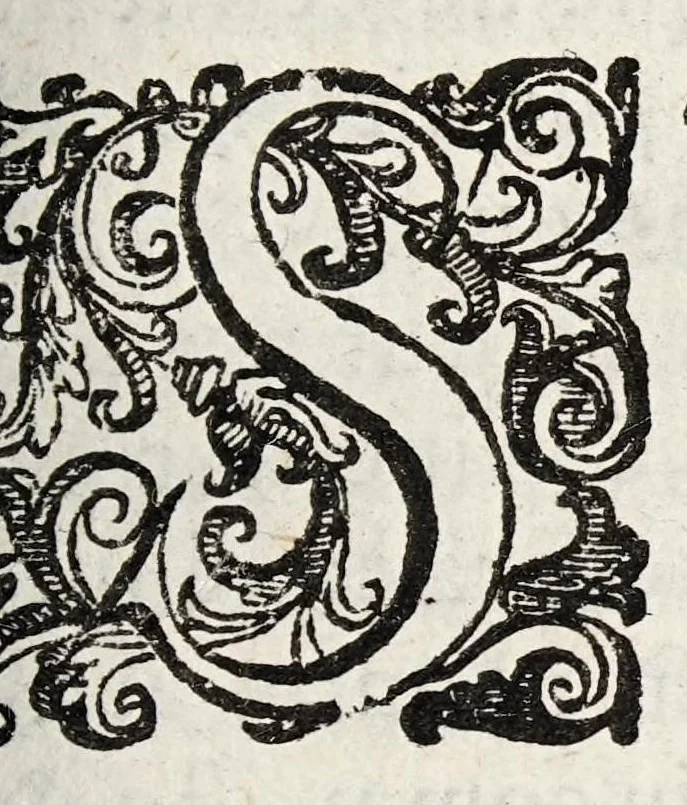 An illustration from Guidi Antonii Albanesii Aphorismorum Hippocratis expositio peripatetica, 1649, leaf 75