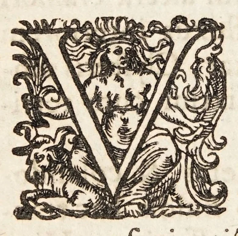 An illustration from Ioannis Pecqueti Diepaei Experimenta nova anatomica : quibus incognitum hactenus chyli receptaculum, & ab eo per thoracem in ramos usque subclavios vasa lactea deteguntur ; Eiusdem Dissertatio anatomica de circulatione sanguinis, et chyli motu : accedunt clarissimorum virorum perelegantes ad authorem epistolae, 1651, leaf 106