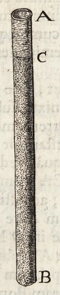 An illustration from Ioannis Pecqueti Diepaei Experimenta nova anatomica : quibus incognitum hactenus chyli receptaculum, & ab eo per thoracem in ramos usque subclavios vasa lactea deteguntur ; Eiusdem Dissertatio anatomica de circulatione sanguinis, et chyli motu : accedunt clarissimorum virorum perelegantes ad authorem epistolae, 1651, leaf 73