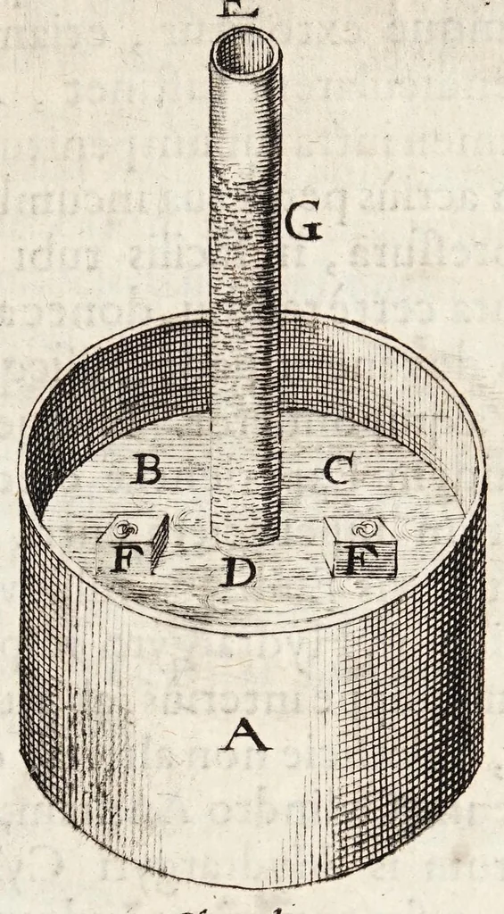 An illustration from Ioannis Pecqueti Diepaei Experimenta nova anatomica : quibus incognitum hactenus chyli receptaculum, & ab eo per thoracem in ramos usque subclavios vasa lactea deteguntur ; Eiusdem Dissertatio anatomica de circulatione sanguinis, et chyli motu : accedunt clarissimorum virorum perelegantes ad authorem epistolae, 1651, leaf 77