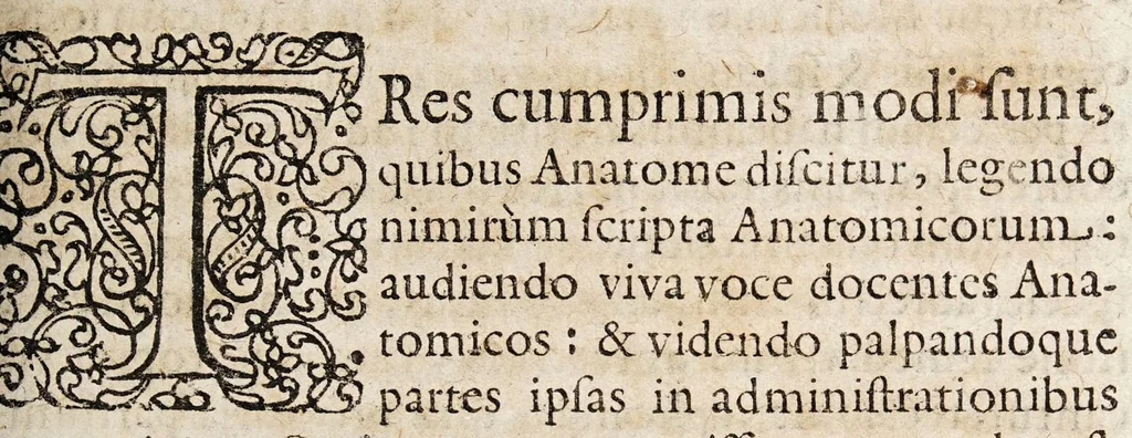An illustration from Theoremata anatomica miscellanea de variis humani corporis partibus ..., 1653, leaf 3