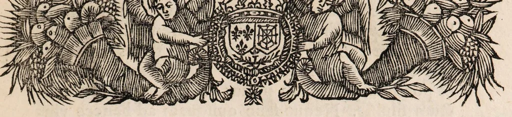 An illustration from Philippi Doute Doctoris Medici Parisiensis De succo cyrenaico diatriba ad Bertinum Dieuxivoie ejusdem facultatis doctorem, : Cui accessit ad eundem antirrheticus in quo singula apologetici capita disquiruntur, indéque natâ occasione alexipharmacorum ac purgantium vires in totius substantiae proprietate positae vindicantur, 1659, leaf 13