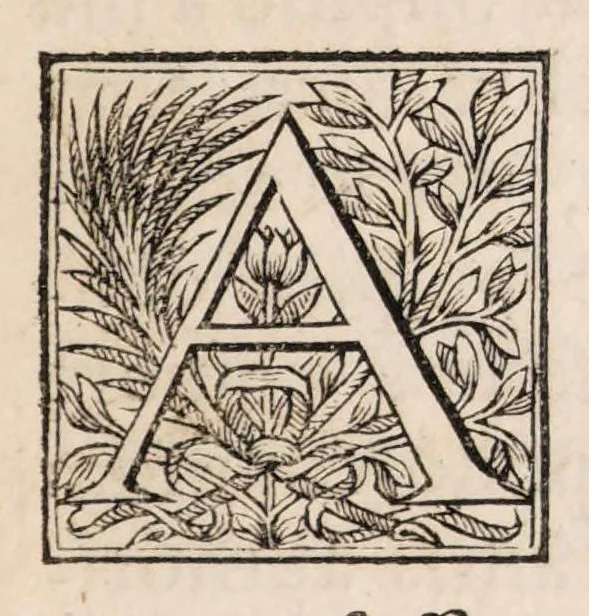 An illustration from Philippi Doute Doctoris Medici Parisiensis De succo cyrenaico diatriba ad Bertinum Dieuxivoie ejusdem facultatis doctorem, : Cui accessit ad eundem antirrheticus in quo singula apologetici capita disquiruntur, indéque natâ occasione alexipharmacorum ac purgantium vires in totius substantiae proprietate positae vindicantur, 1659, leaf 13