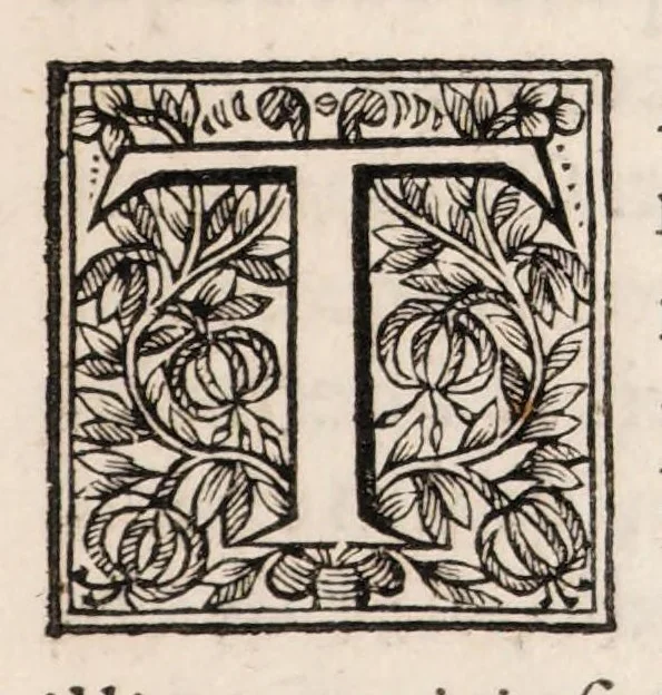 An illustration from Philippi Doute Doctoris Medici Parisiensis De succo cyrenaico diatriba ad Bertinum Dieuxivoie ejusdem facultatis doctorem, : Cui accessit ad eundem antirrheticus in quo singula apologetici capita disquiruntur, indéque natâ occasione alexipharmacorum ac purgantium vires in totius substantiae proprietate positae vindicantur, 1659, leaf 47