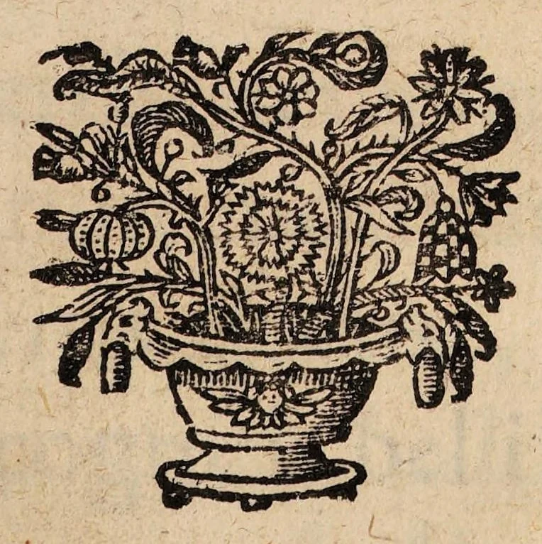 An illustration from Vopisci Fortunati Plempii, Amstelredamensis artium & medicinae doctoris ... De affectibus capillorum et unguium tractatus. : Apospasmation libri sui de particularibus externis corporis humani affectibus. Ad illustrissimum & reverendissimum virum D. Theodorum Skuminovium, 1662, leaf 1