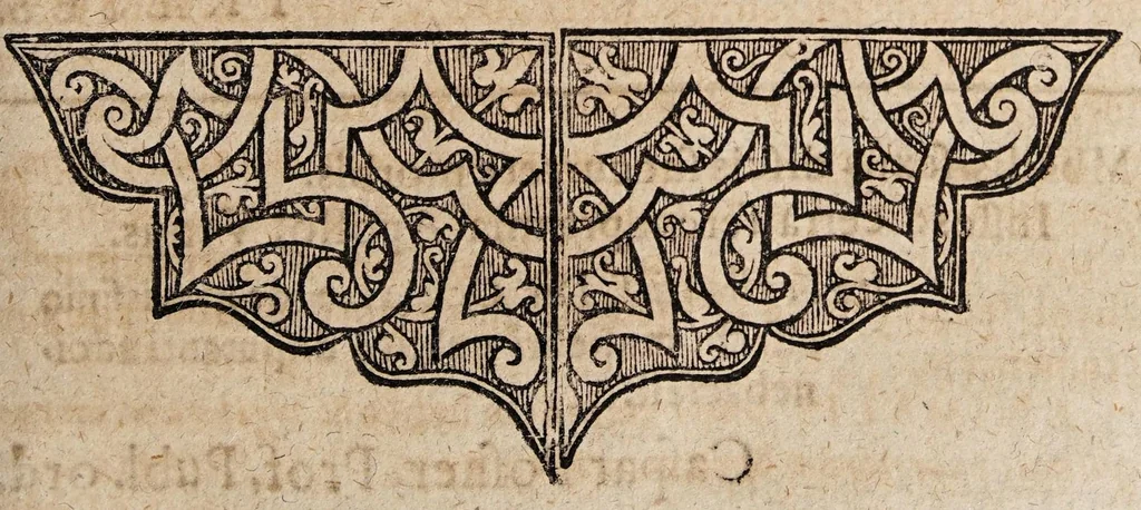 An illustration from Disputatio medica, quâ illustris & gratiosissimi senatûs medici consensu, Immoderatum mensium profluvium ..., 1665, leaf 45