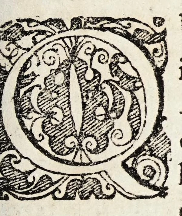 An illustration from Disputatio inauguralis medica de passione colica ..., 1668, leaf 3
