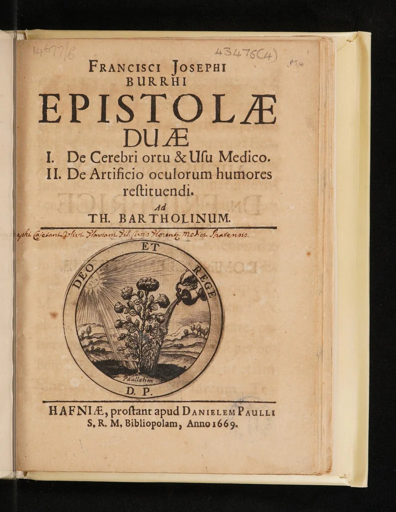 An illustration from Epistolae duae. I. De cerebri ortu et usu medico. II. De artificio oculorum humores restituendi. Ad Th. Bartholinum, 1669, leaf 13
