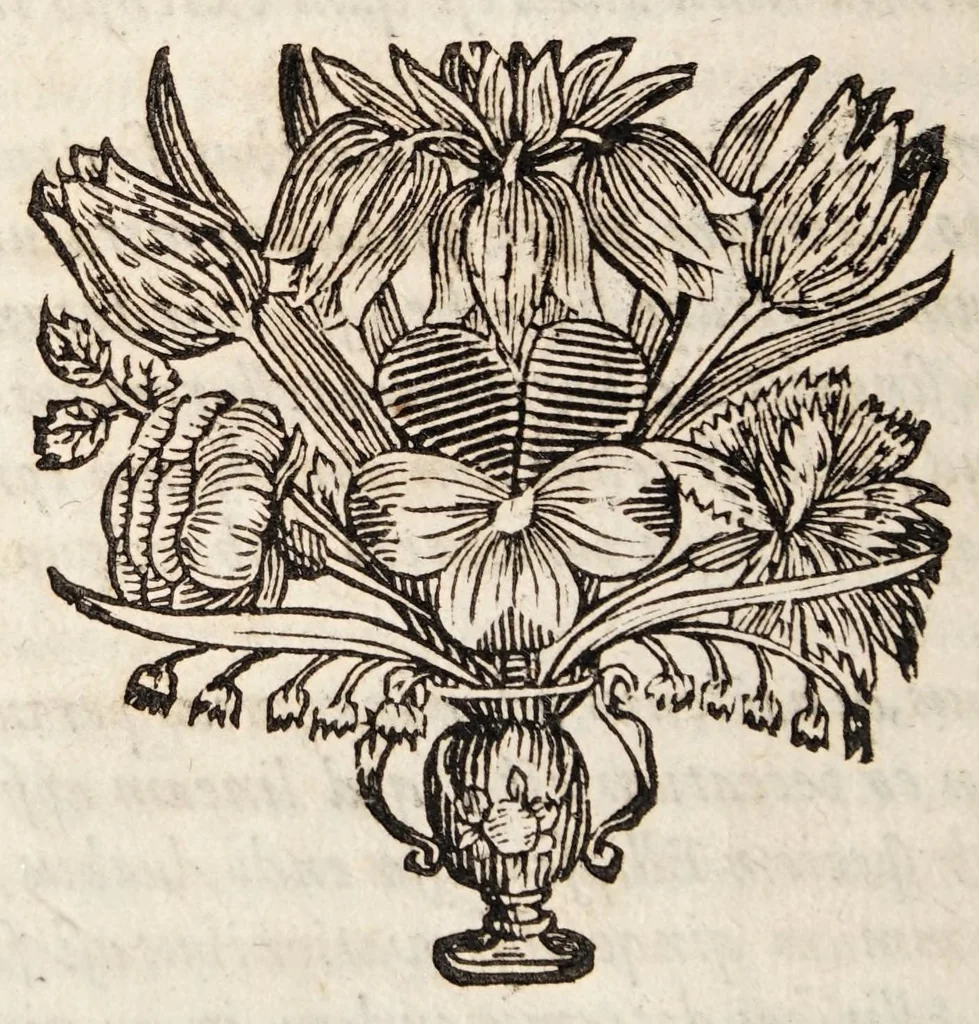 An illustration from Dissertatio inauguralis de propriorum oculorum defectibus ad leges mechanices revocatis ..., 1671, leaf 24