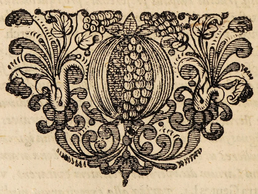 An illustration from Disputationem medicam ... de sterilitate utriusque sexus ... MDCLXXII, 1672, leaf 4