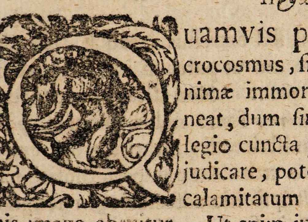An illustration from Dissertationem inauguralem de paronychia ..., 1674, leaf 9