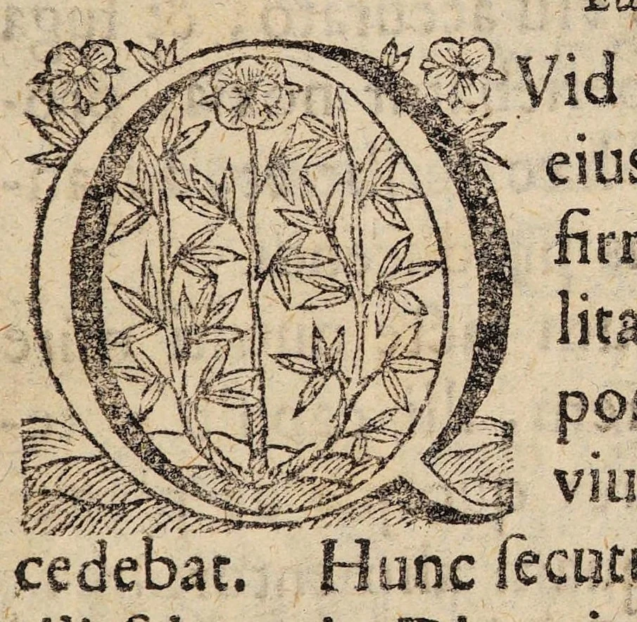 An illustration from Diaeta literatorum ..., 1674, leaf 3
