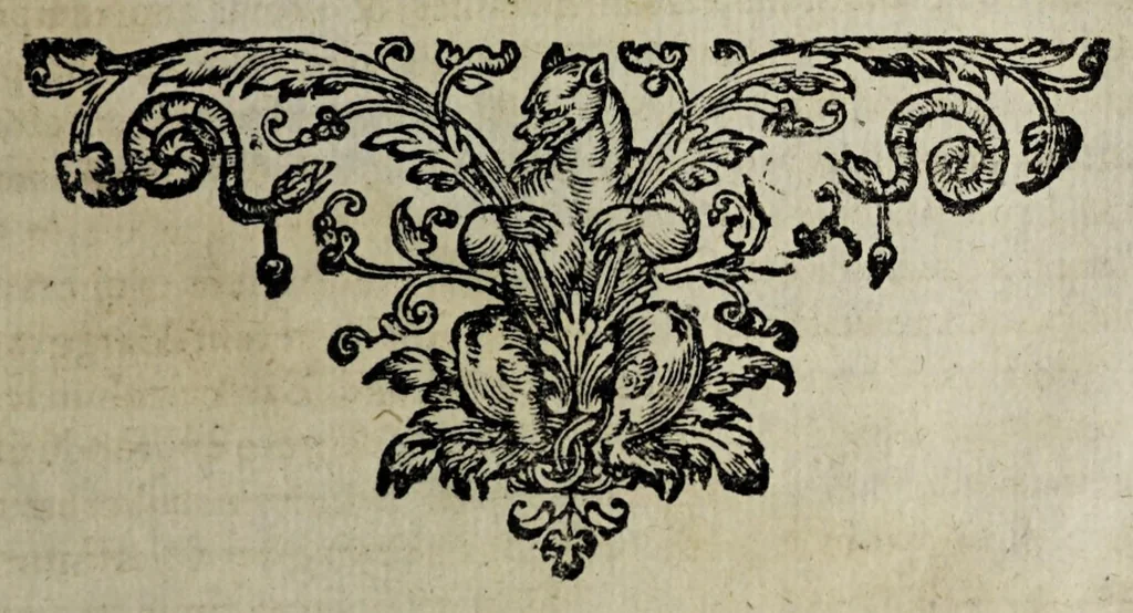 An illustration from Disputatio medica inauguralis de calculo vesicae ..., 1674, leaf 23