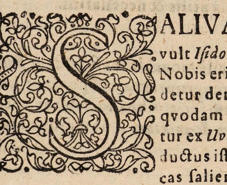 An illustration from Disputatio medica de salivae natura et usu ..., 1677, leaf 3