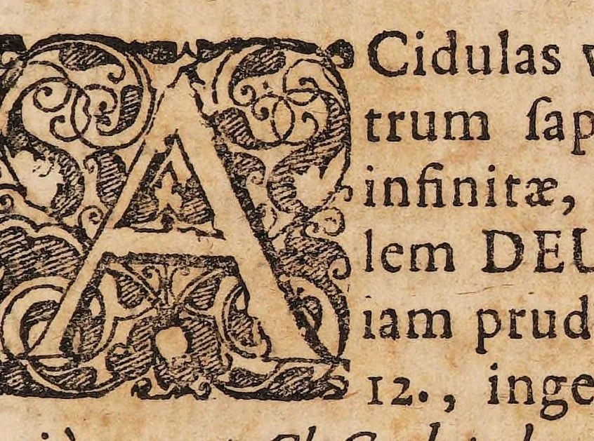 An illustration from Dissertatio medica de acidularum usu externo ..., 1677, leaf 3