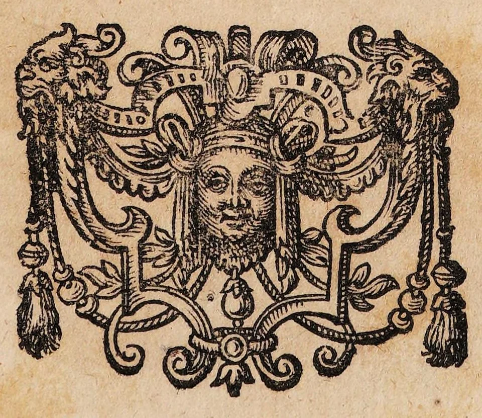 An illustration from Dissertatio medica de acidularum usu externo ..., 1677, leaf 39