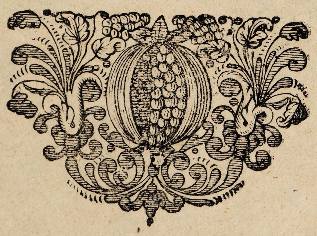 An illustration from Ortus morborum e fermento ventriculi in eorum ultionem ad vitam sanam ..., 1678, leaf 27
