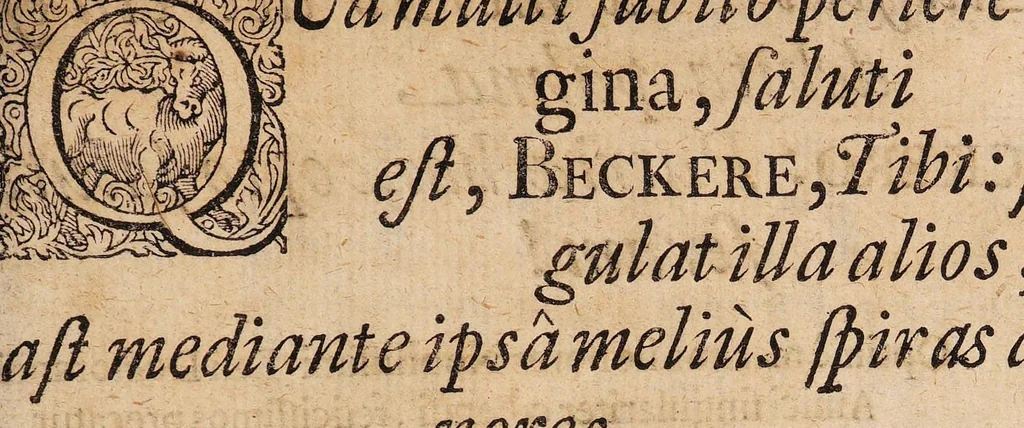 An illustration from Disputatio inauguralis medica de angina, 1678, leaf 43