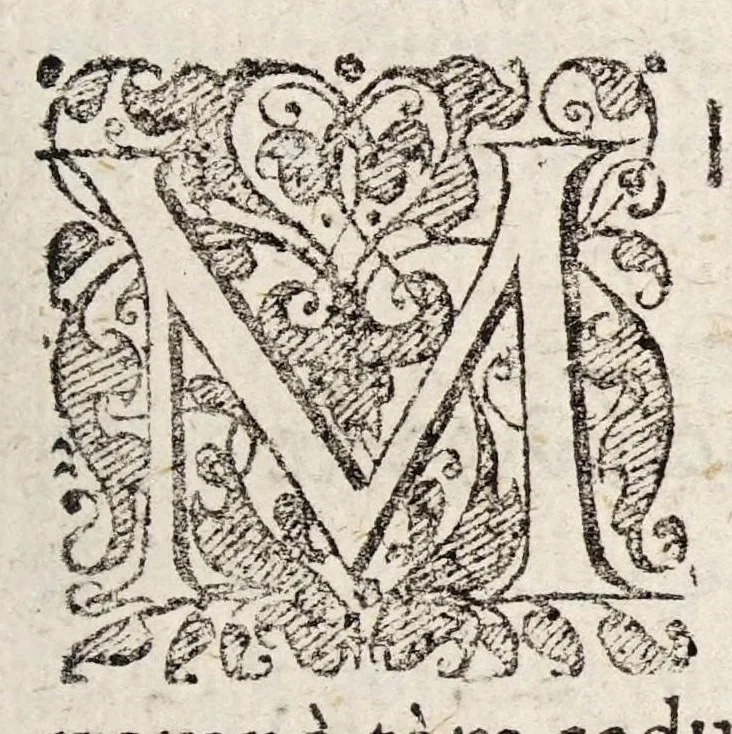 An illustration from Dissertatio inauguralis medica, de apoplexia, 1680, leaf 3