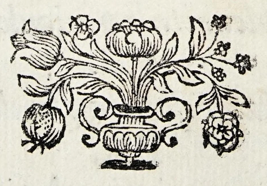 An illustration from Dissertationem medicam de aepothpia sive microcosmi aeolia ..., 1680, leaf 27