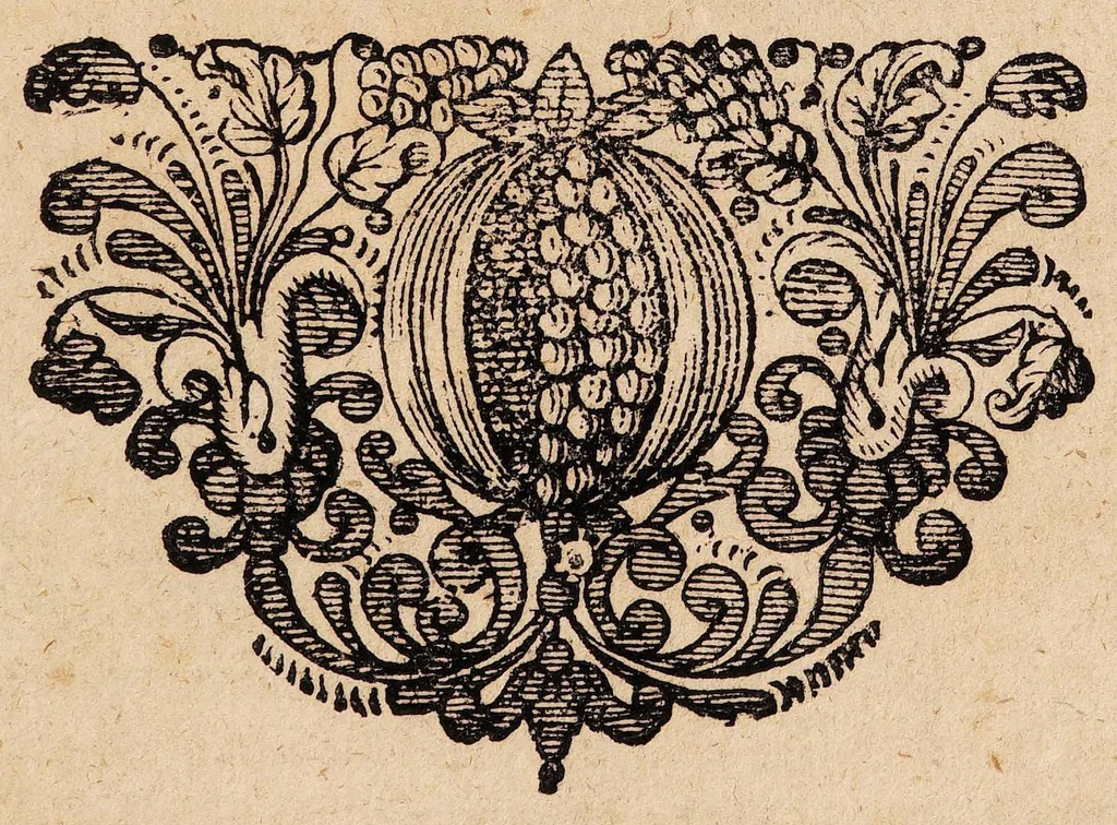 An illustration from Dissertationem inauguralem de asthmate ..., 1680, leaf 23