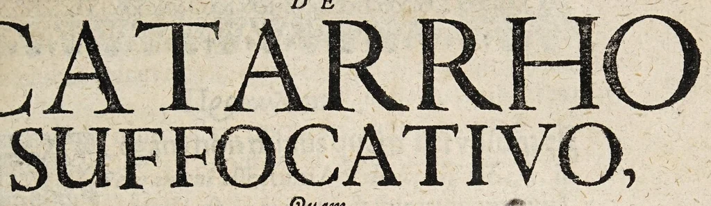 An illustration from Disputatio inauguralis medica, de catarrho suffocativo ..., 1681, leaf 3