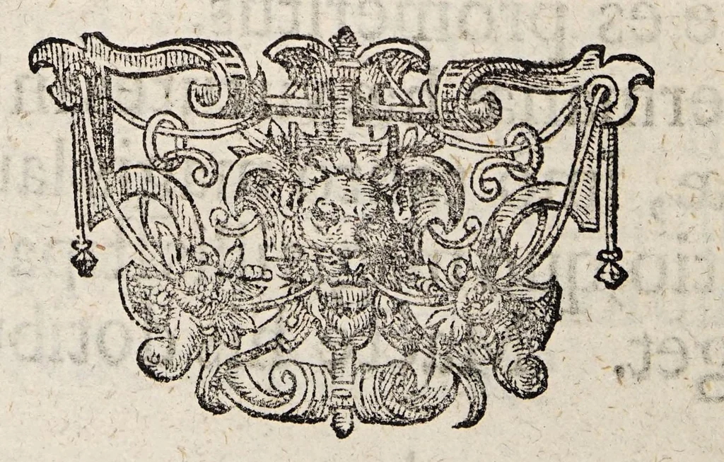 An illustration from Disputatio inauguralis medica, de catarrho suffocativo ..., 1681, leaf 50