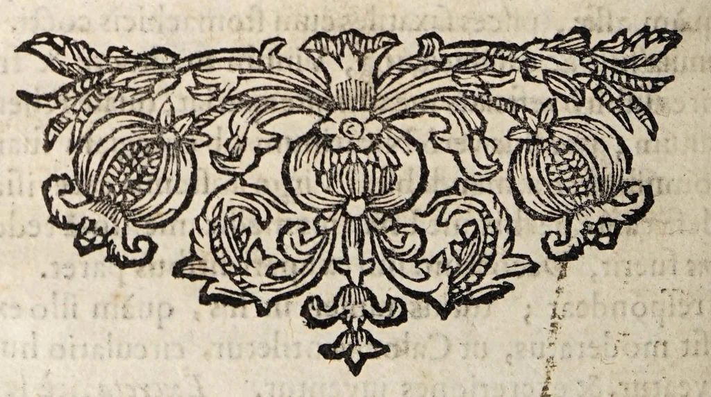 An illustration from Peri tēs chlōrōseōs; seu, De foedis virginum coloribus, 1682, leaf 32