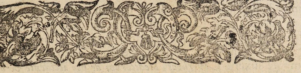 An illustration from Discursus inauguralis medicus de convulsionibus, 1683, leaf 5