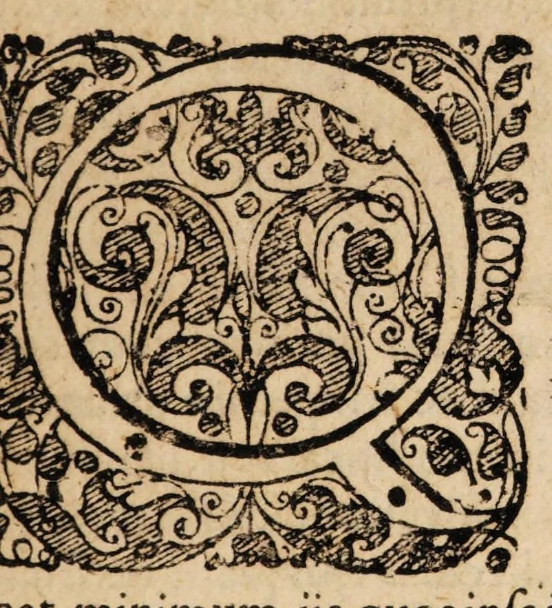 An illustration from Scrutinium pestis, quod ... disputatione inaugurali ... subjiciet, 1683, leaf 3