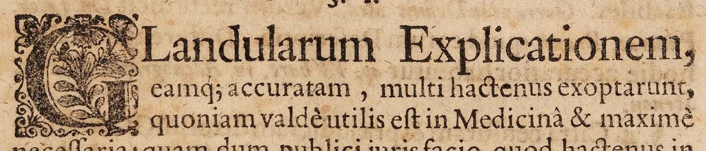 An illustration from Dissertatio medica de glandulis in genere, 1683, leaf 3