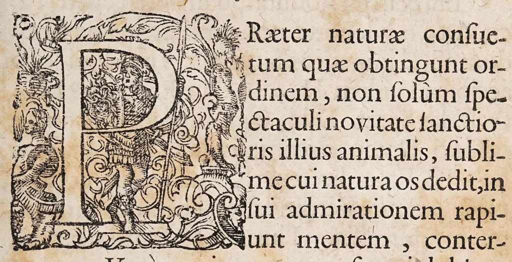 An illustration from Exercitatio anatomica de monstro humano nupero ..., 1684, leaf 3