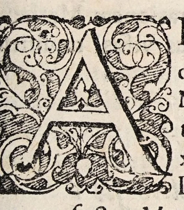 An illustration from Quaestionum de visu dodecas ..., 1684, leaf 3
