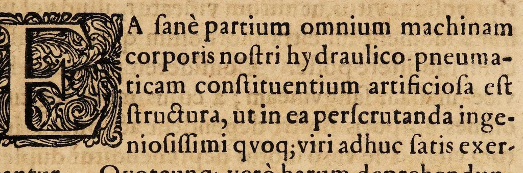 An illustration from Disputatio medica inauguralis de mensium defectu, 1684, leaf 5