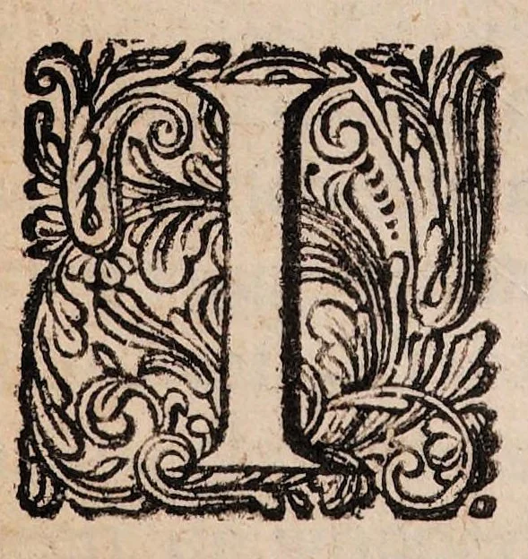 An illustration from Ontledingen en ontdekkingen van de onsigtbare verborgentheden; vervat in verscheyde brieven,, 1685, leaf 104